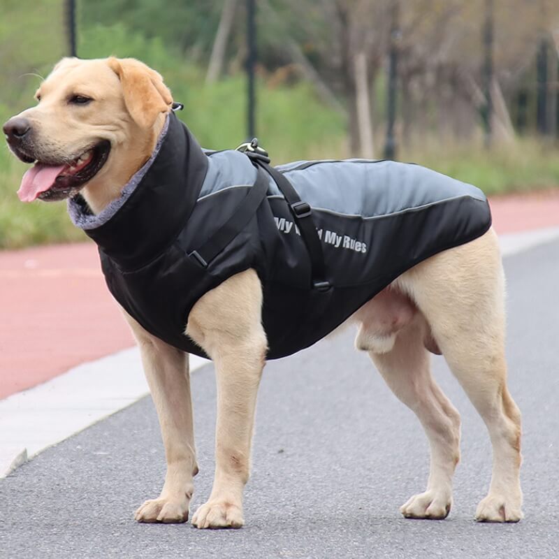 Gola alta quente legal acessórios para cães jaqueta espessada acessórios para cães casaco de algodão