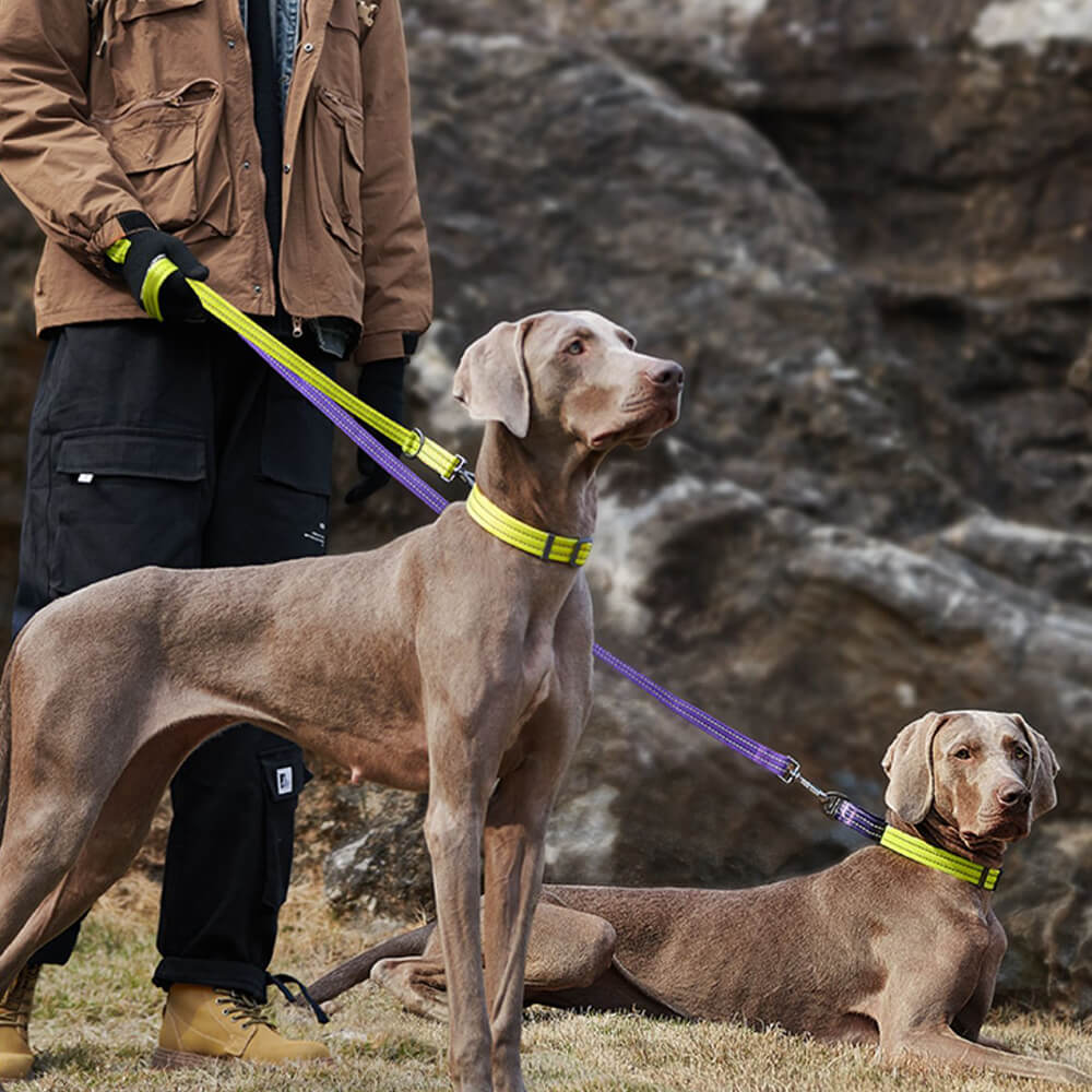 Trela ​​de cachorro ajustável de duas pontas multifuncional, mãos livres