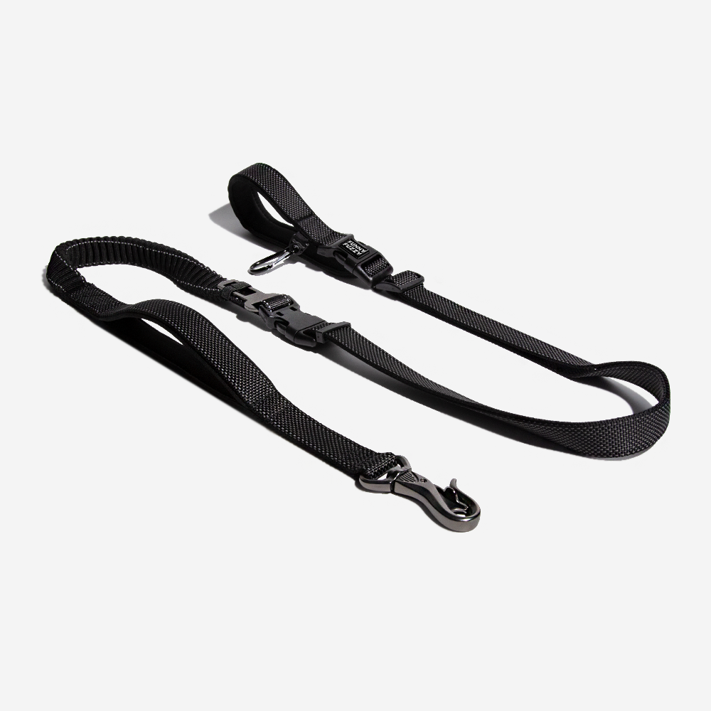 Multifunction Hands Free Dog Leash With Safety Seat Belt