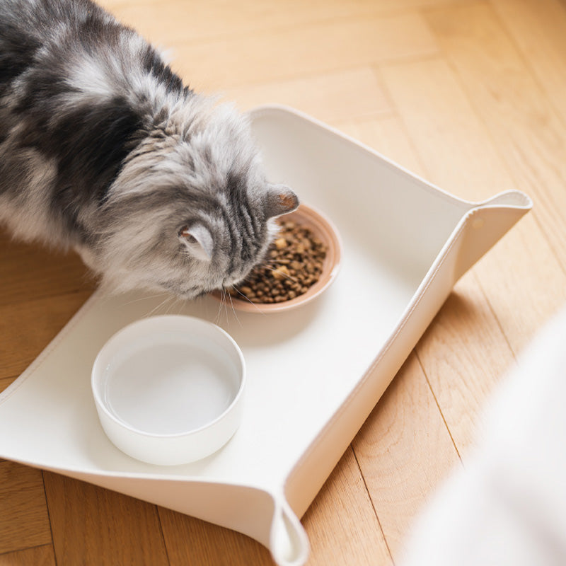 Placemats à prova de derramamento para animais de estimação Tapete de tigela à prova d'água e à prova de gordura