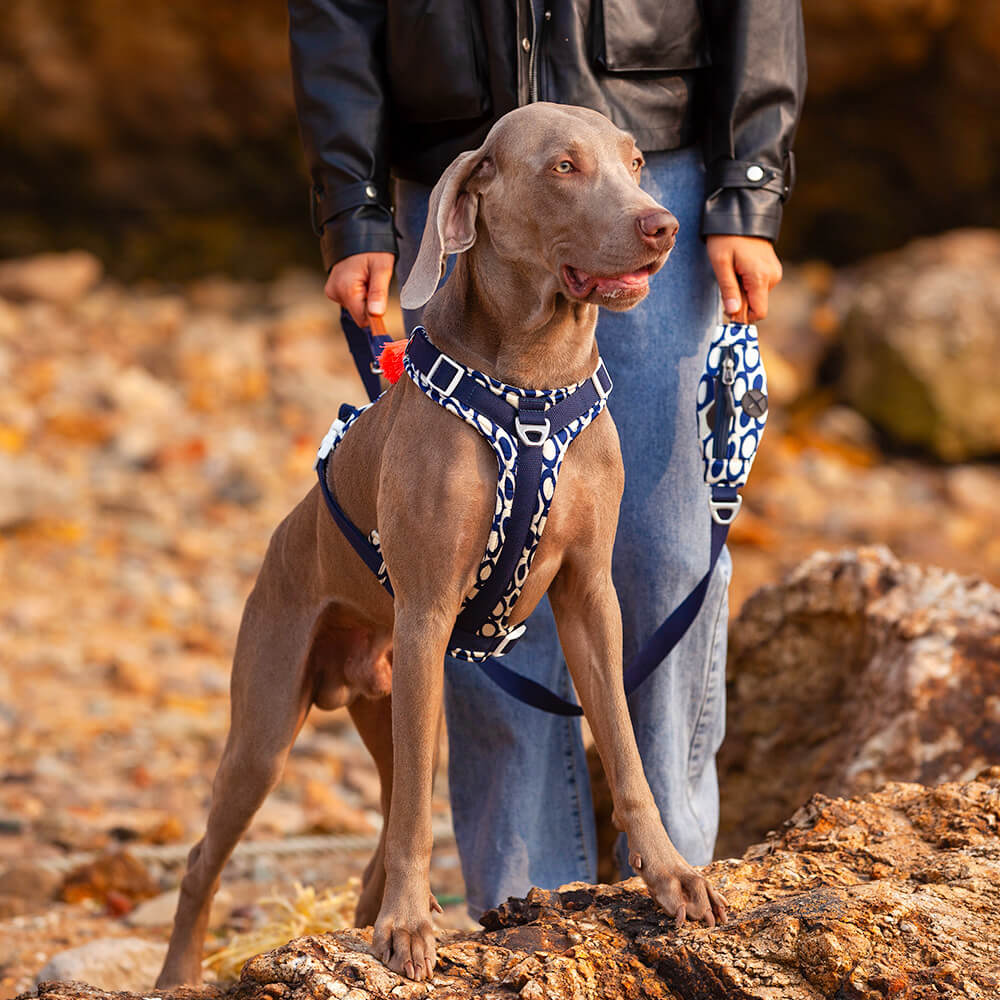 Conjunto de arnês e trela para cães grandes e anti-tração seguros com bolsa de caminhada