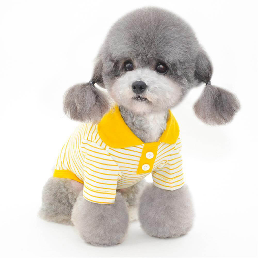 Soft Striped Pet Shirt – Available in Three Trendy Colors