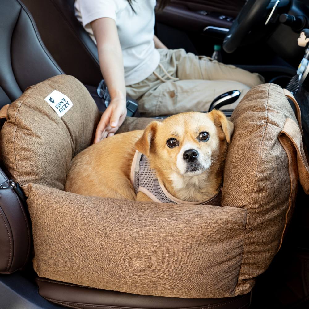 Cama para Cachorro - Primeira Classe