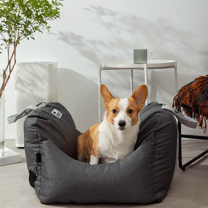 Cama para Cachorro - Primeira Classe