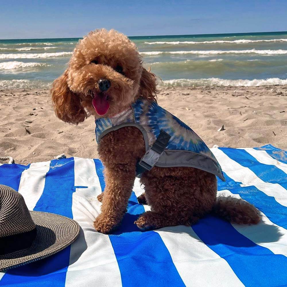 Capa para assento de carro para cachorro - férias