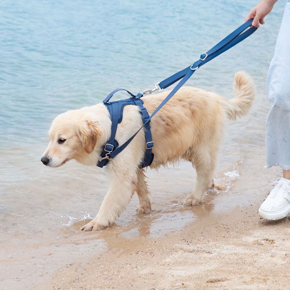 Gummy Dog Harness