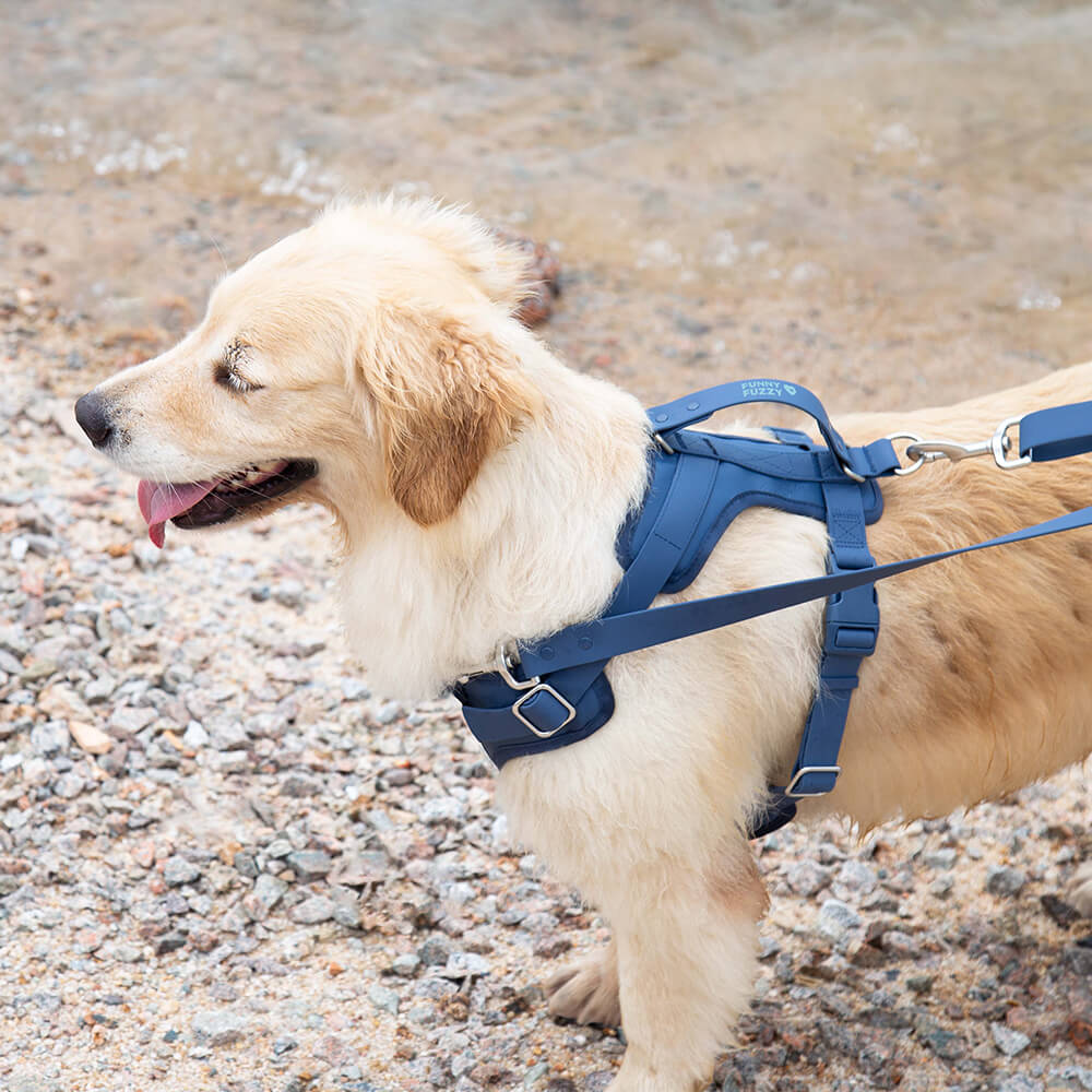 Arnês para cachorro de goma