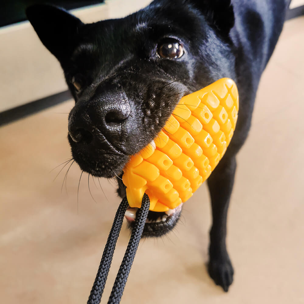 Brinquedo para cães com ventosa - Manga