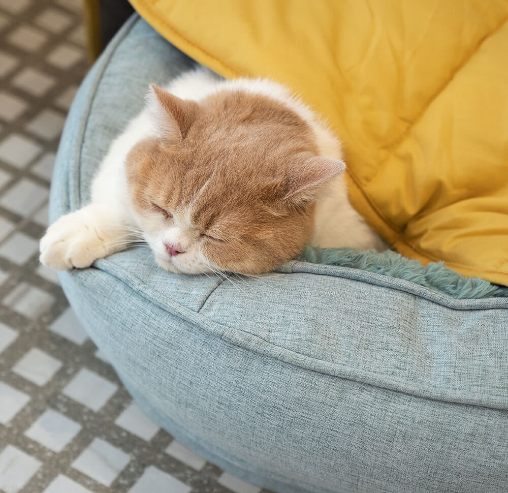 Cobertor para cachorro em formato de folha com donut, cama para cachorro, presentes luxuosos para cachorro