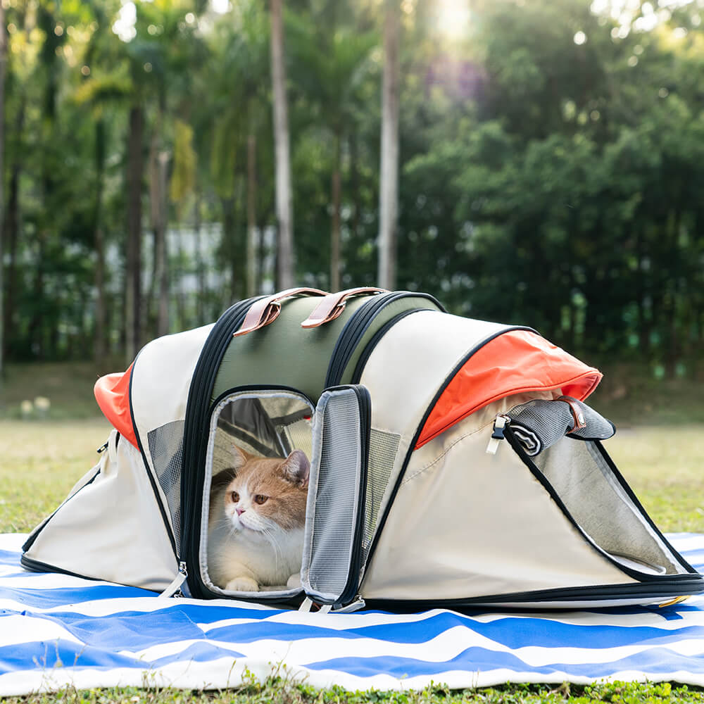 Transformers Pro Travel Camping Tent Cat Backpack