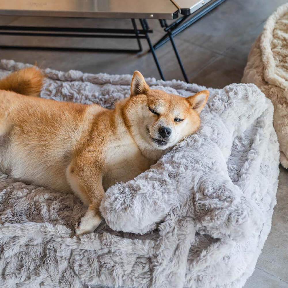 Cama de cachorro calmante em formato de nuvem de osso fofo e aquecido