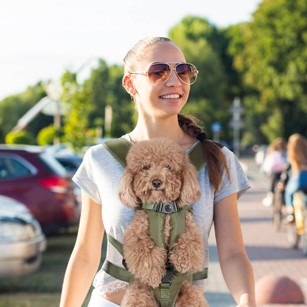 Mochila para transportar animais de estimação para cães - Cockpit