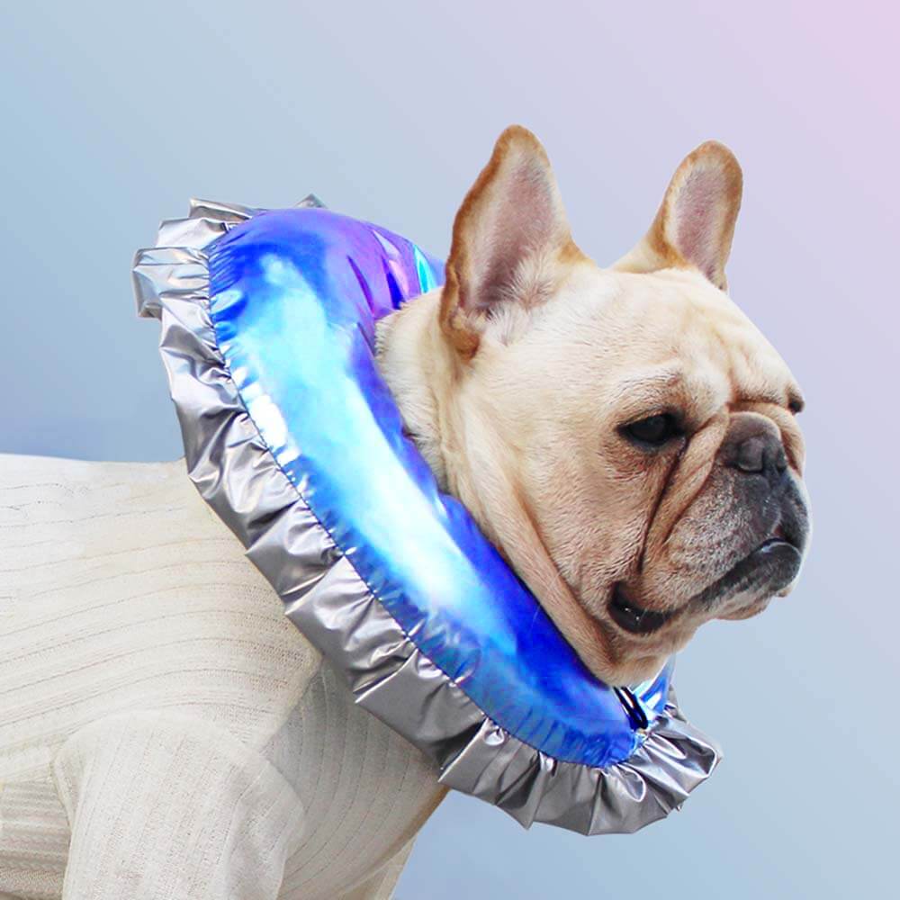 Pet Recovery Collar - Iridescent