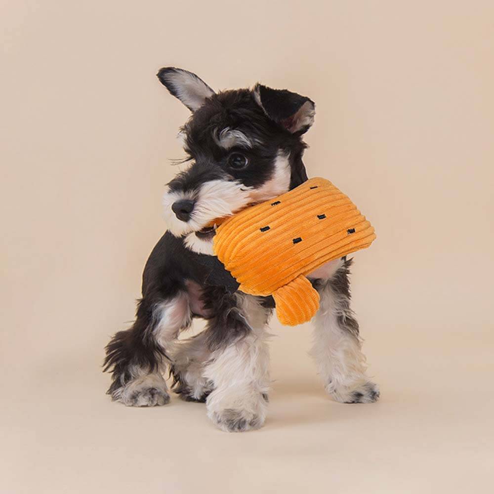 Conjunto de brinquedos de pelúcia para cães barulhentos - cacto