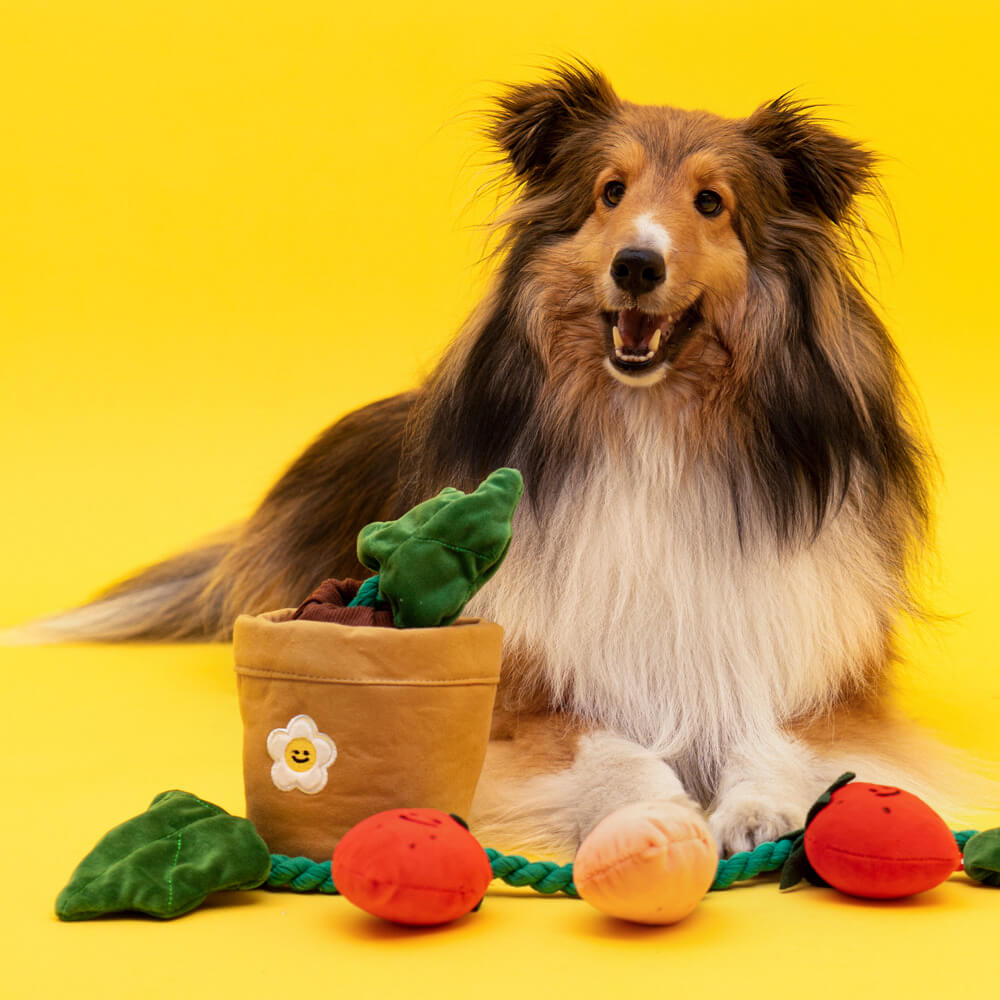 Brinquedo de pelúcia para cachorro que faz barulho - vaso de morango