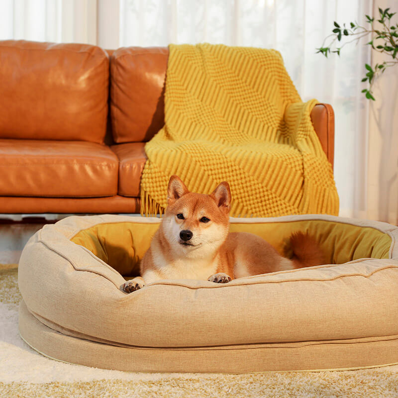 Cama para Cachorro - Donut