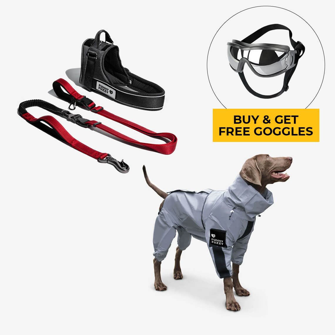 Conjunto de acessórios para caminhada Swag & Safe Cool Dog