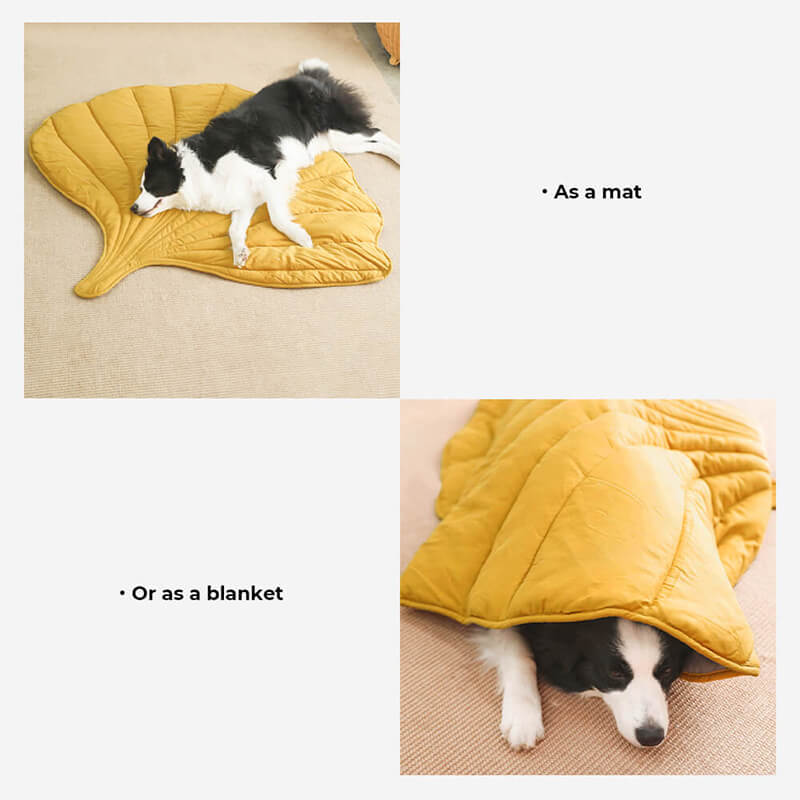 All-Season Washable Throw Furniture Protector Cat Bed Blankets