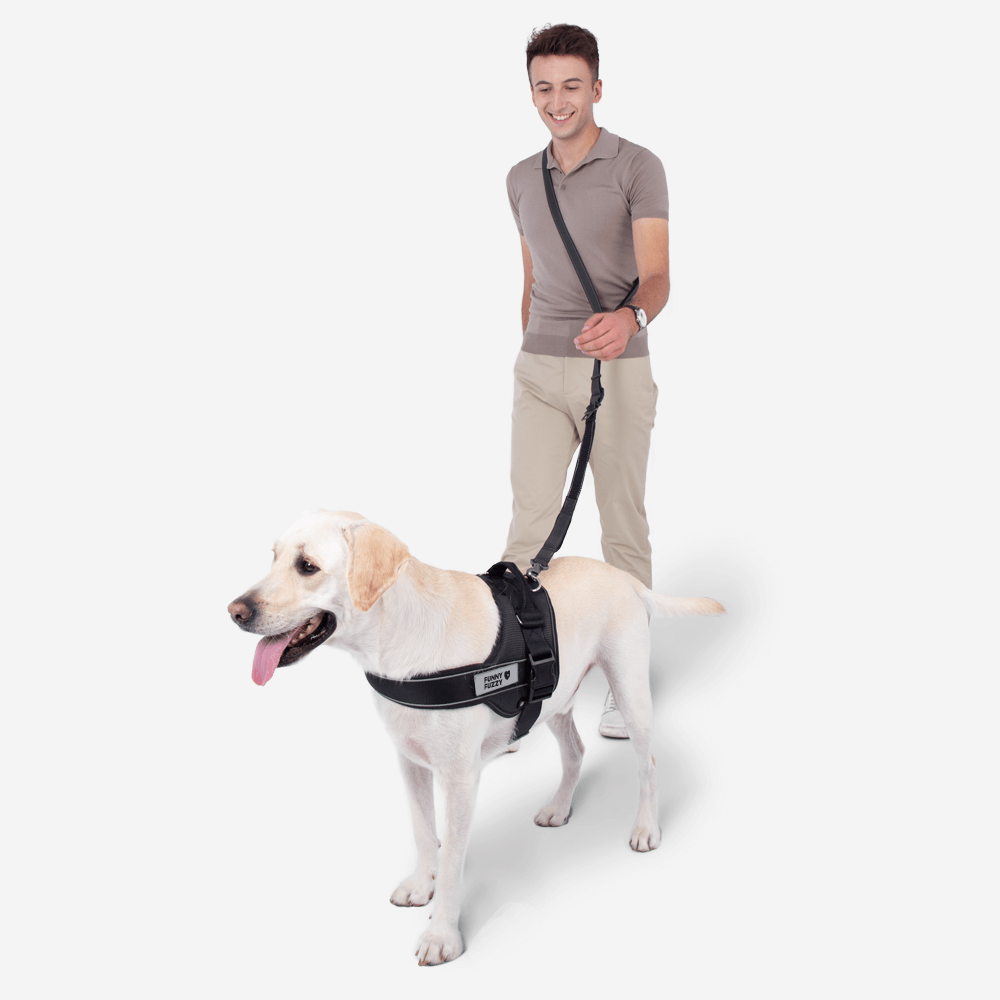 Conjunto de caminhada para cães esportivos | Trela ​​multifuncional para cães com mãos livres e sem arnês para cães